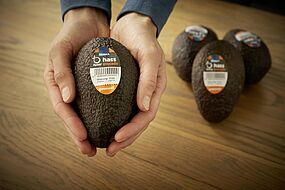 Edeka Apeel Sciences Avocado