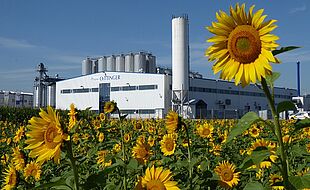 Oettinger Brauerei Pia Kollmar 