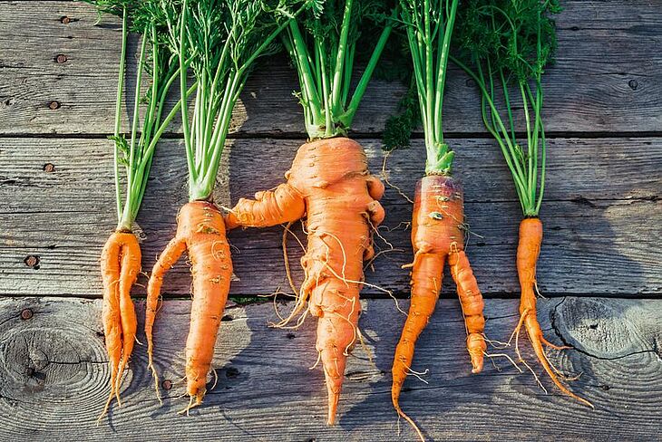 Misfits, Ausenseiter, Obst, Gemüse, Karotten, Superfood, Gesund essen, Sortiment, Rundschau, Medialog
