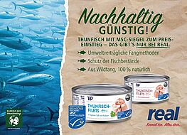 Real MSC zertifiziert Dosenthunfisch Tip Real MSC zertifiziert Dosenthunfisch Tip