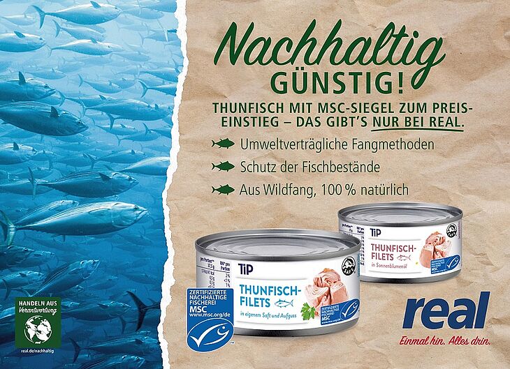 Real MSC zertifiziert Dosenthunfisch Tip