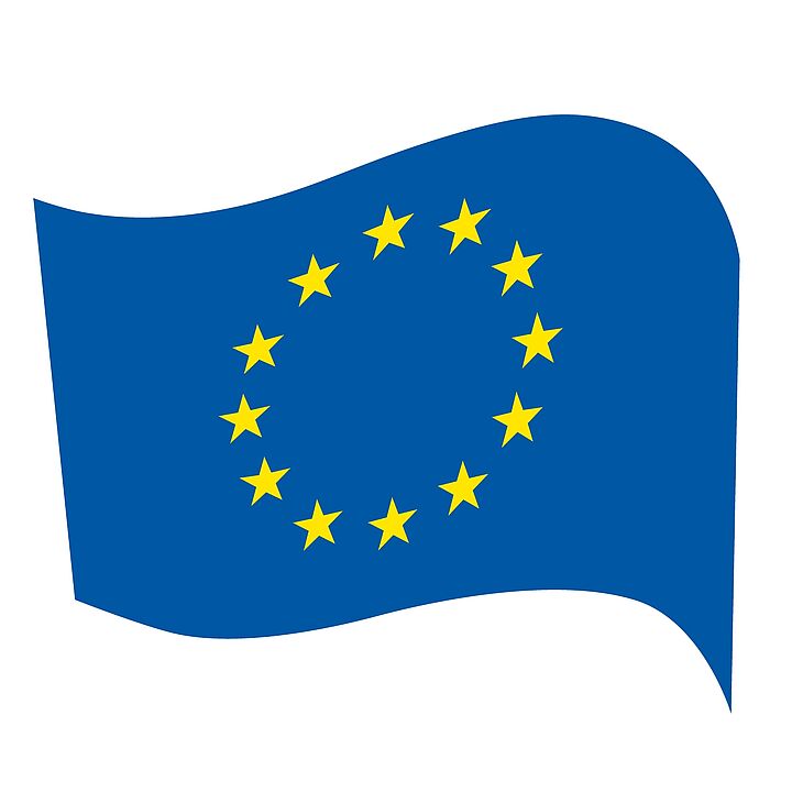 HDE Europawahl