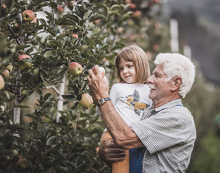 Zwei Drittel der Deutschen nennen den Apfel als ihr Lieblingsobst. Eine Vorreiterrolle, die der Südtiroler Apfel g.g.A. mit seinen Eigenschaften als leckerer Schlankmacher, Vitaminbombe und zuweilen gar als Beauty-Booster – in Form einer Apfelmaske – zu begründen weiß.