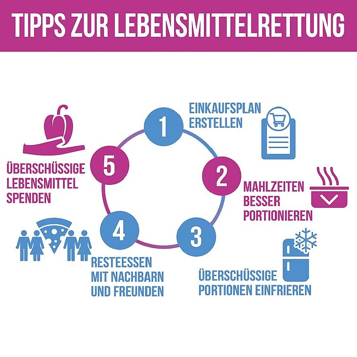 "Lebensmittelverschwendung" "Medienberichte" "Tipps"